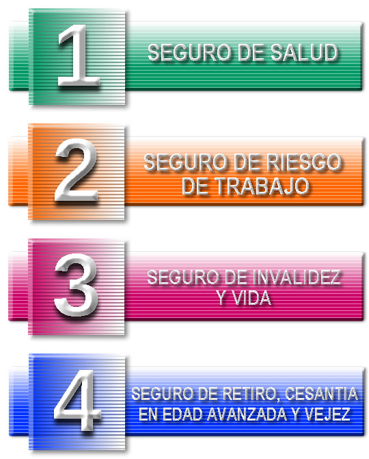 imagen enumeracion de seguros que administra el ISSSTE