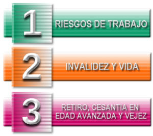 imagen de tipos de seguros del IMSS que generan pensión